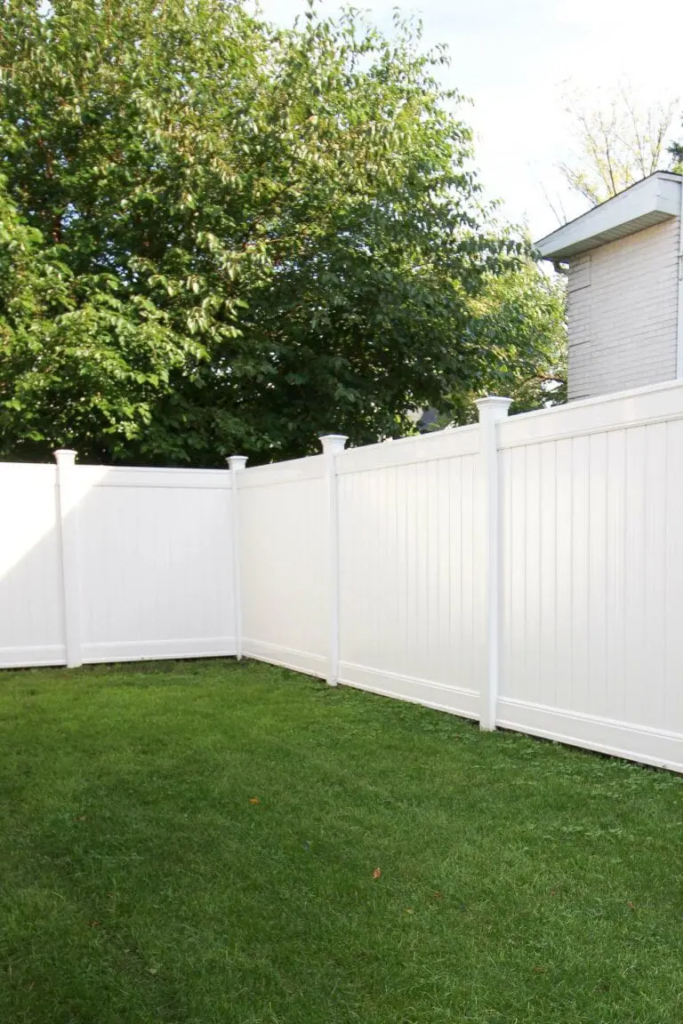 backyard fence