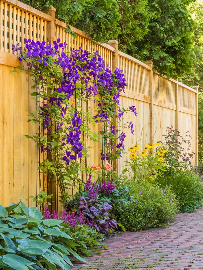 The Ultimate Guide to Creative Privacy Fence Designs