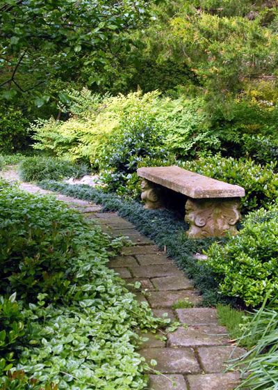 The Versatile Charm of Garden Benches
