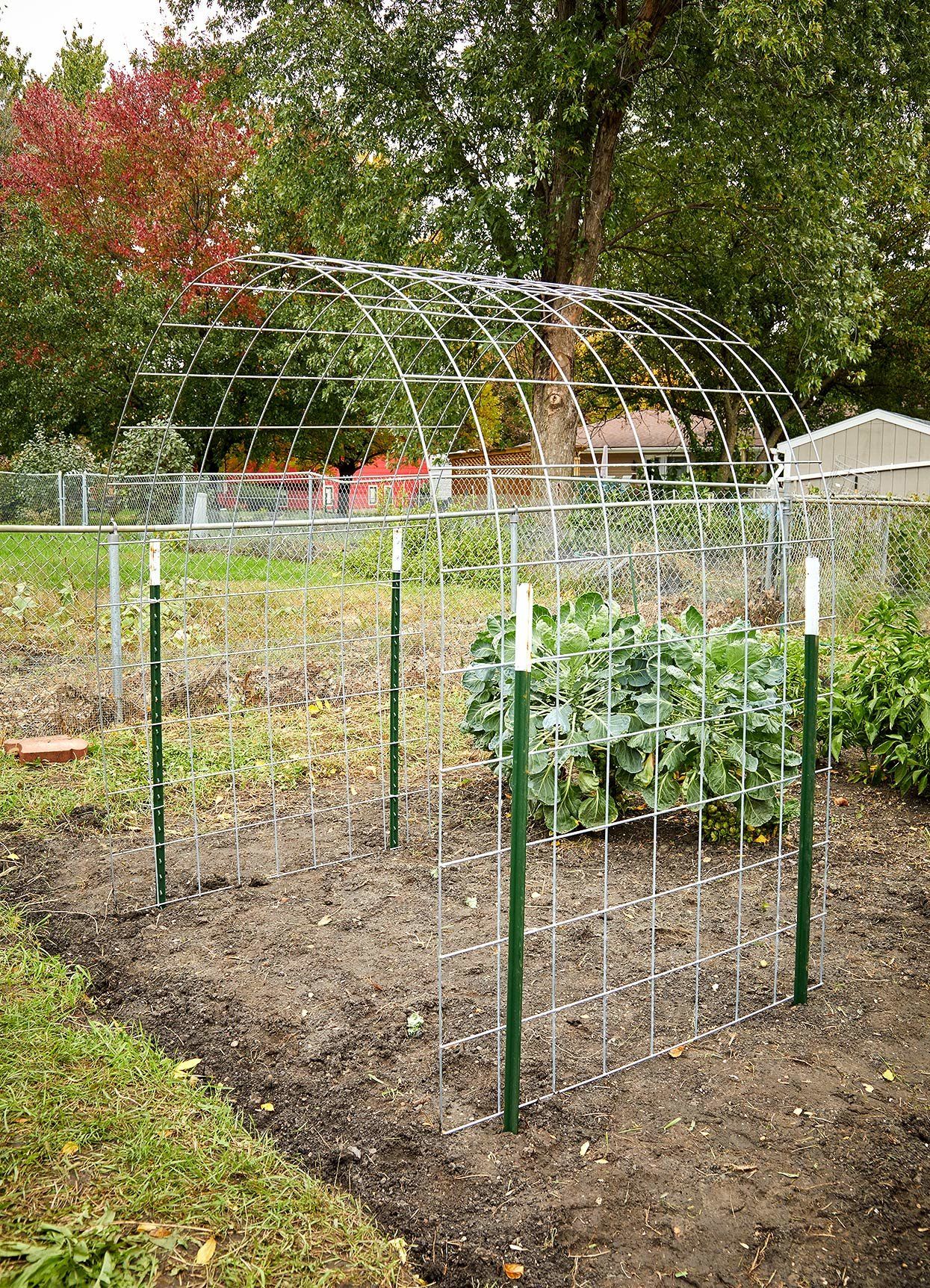 The Wonders of Garden Trellises: A Guide to Vertical Plant Support