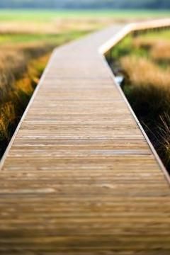 The benefits of using natural wood for your outdoor decking project