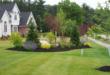 evergreen landscape front yard