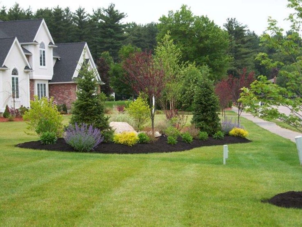 Timeless Beauty: The Allure of Evergreen Landscapes for Front Yards