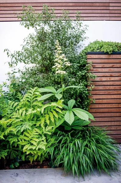 Tiny Front Garden: Making the Most of Limited Space