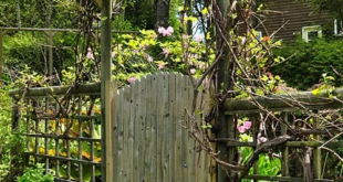 garden fencing ideas