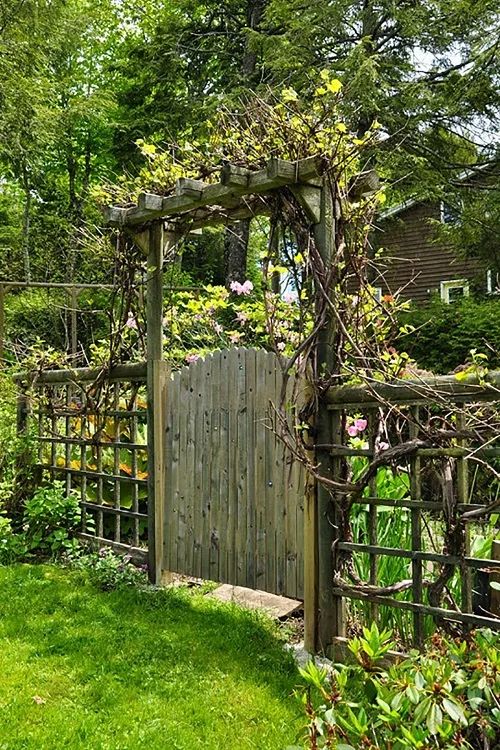 Top Creative Garden Fencing Designs for Your Outdoor Space