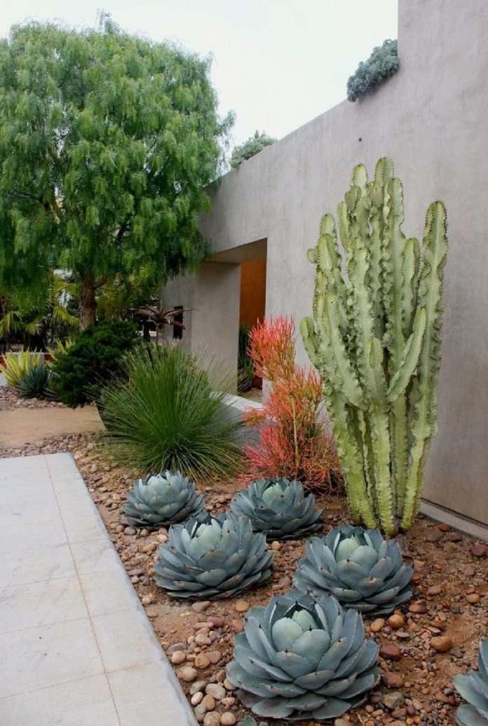 Transform Your Backyard with Stylish Rock Features