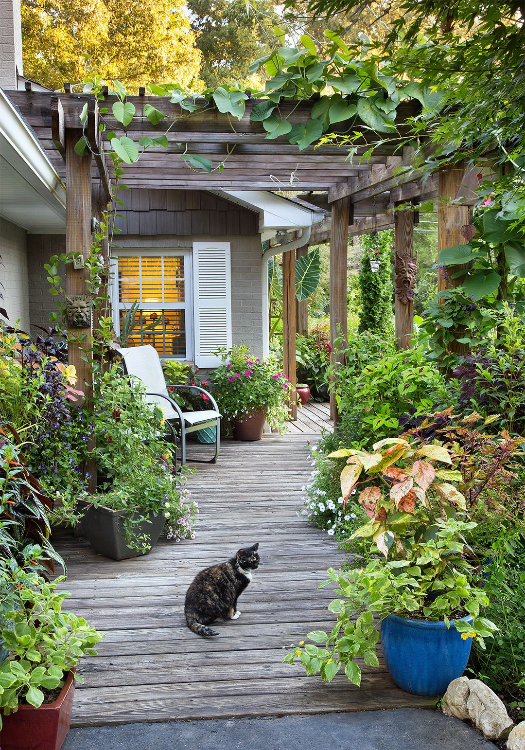 Transform Your Backyard with These Creative Landscaping Ideas