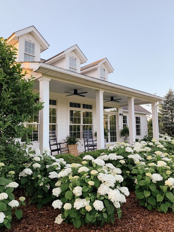 farmhouse landscaping front yard