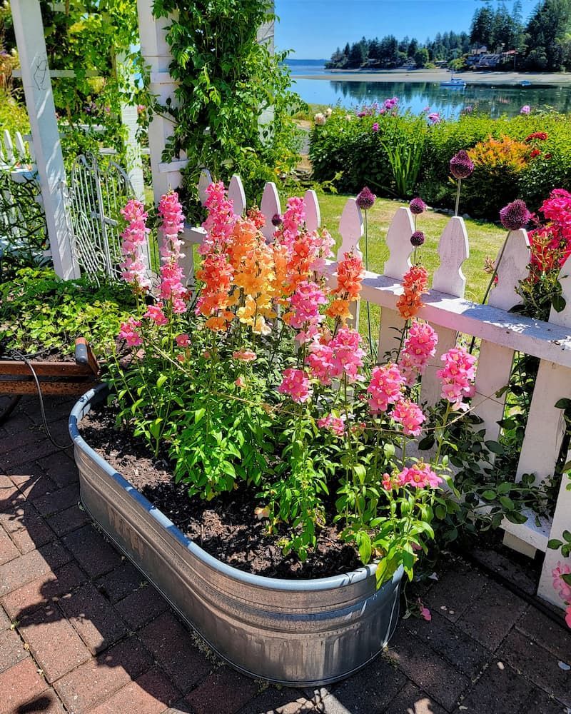 Transform Your Front Yard with Stunning Flower Garden Designs