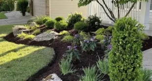 front yard landscaping design