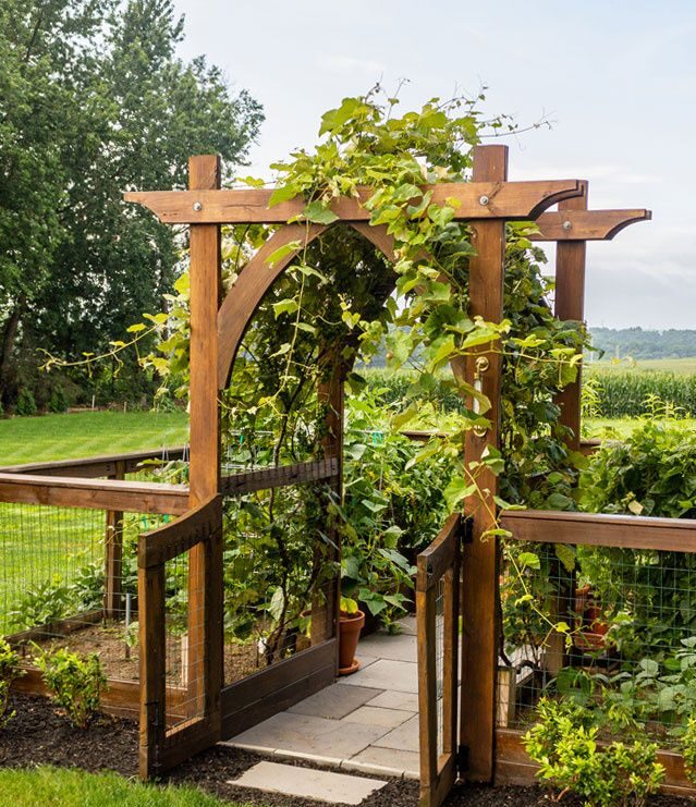 Transform Your Garden with a Beautiful Arbor Structure