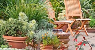 landscaping with potted plants