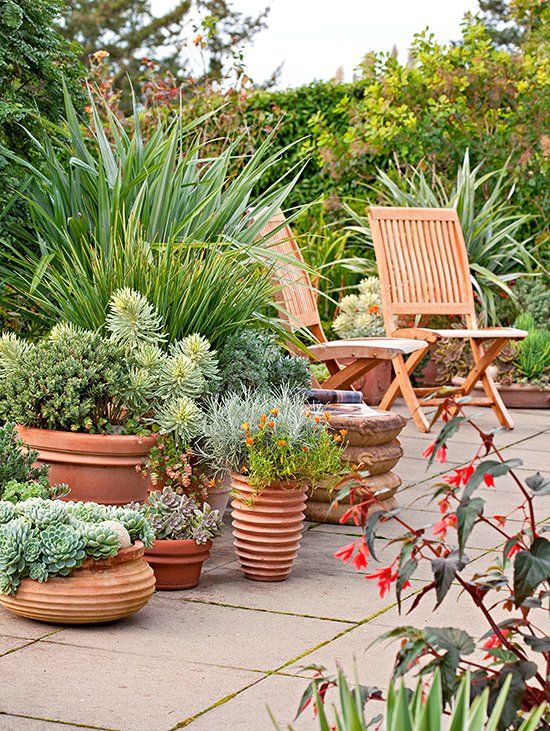 Transform Your Outdoor Space: The Beauty of Landscaping with Potted Plants