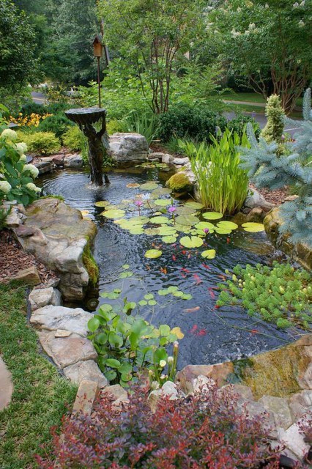 Transform Your Outdoor Space with a Beautiful Backyard Pond