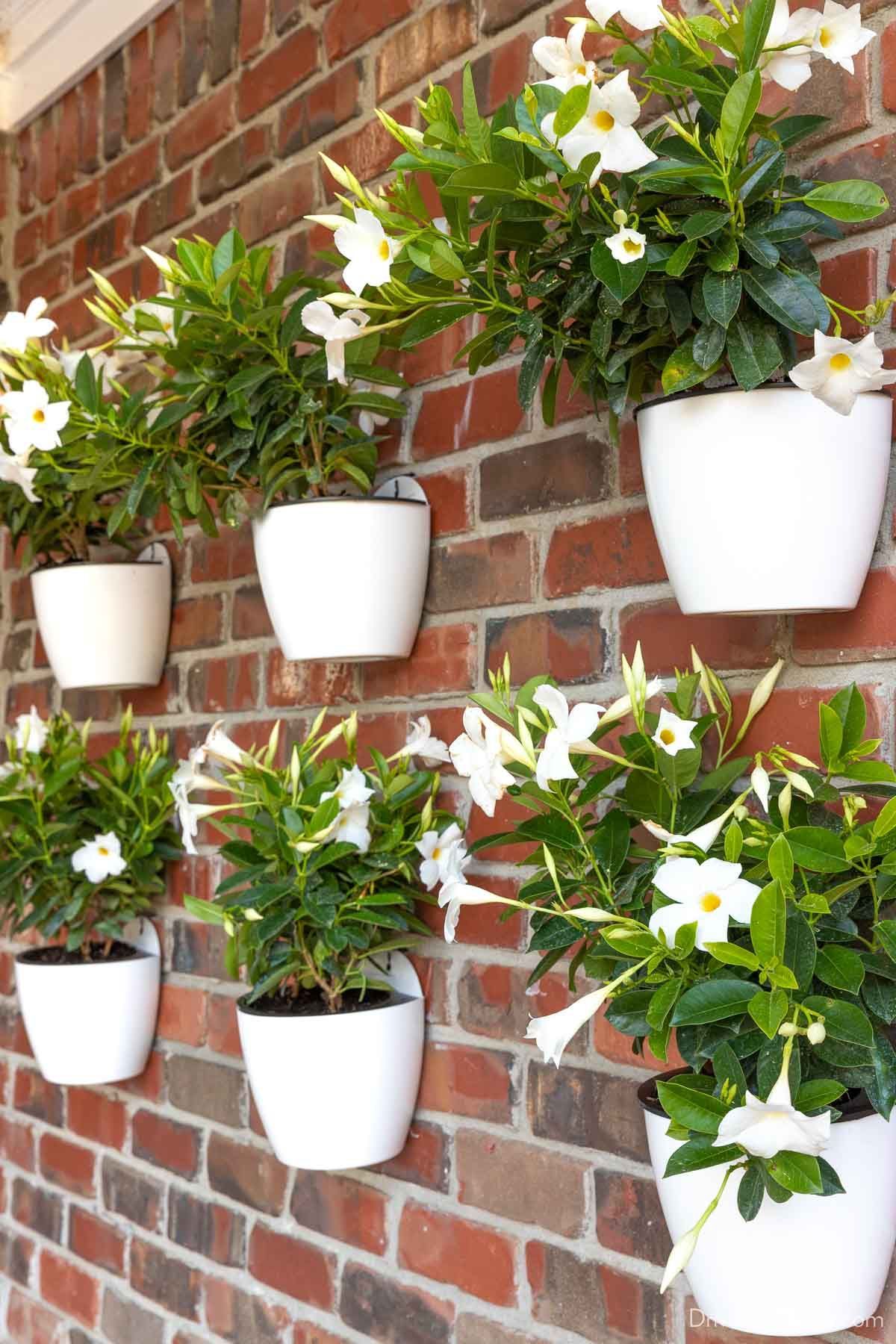 Transform Your Outdoor Space with a Beautiful Garden Planter Wall