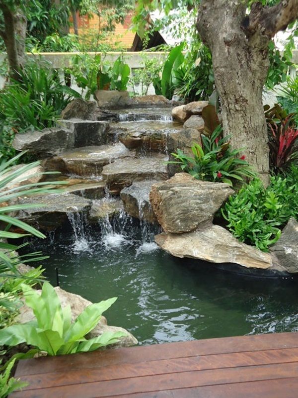 Transform Your Outdoor Space with a Serene Backyard Pond