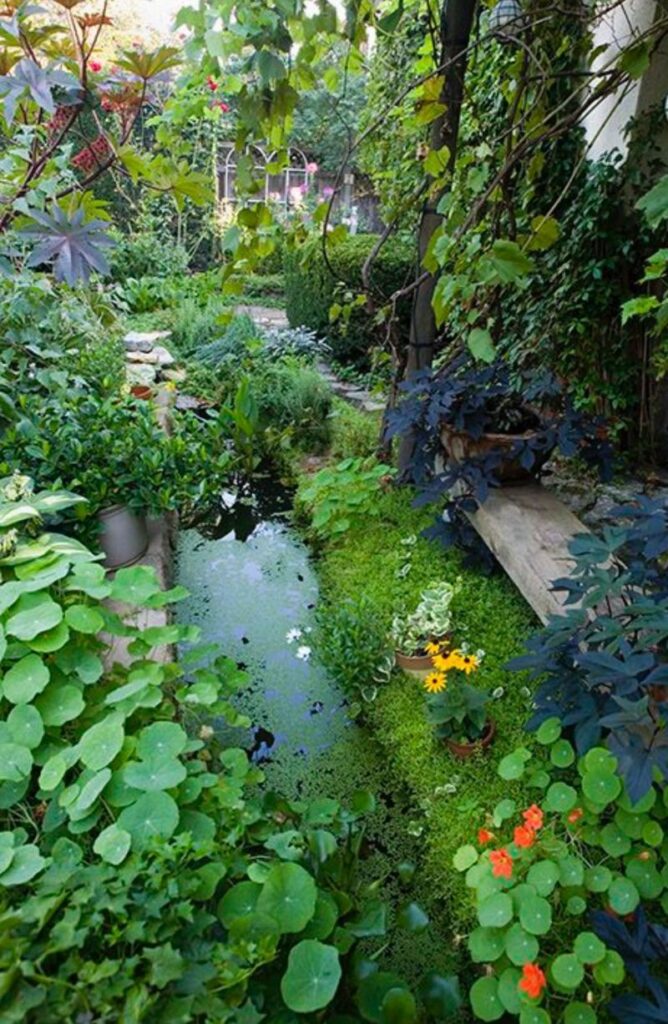 backyard ponds