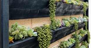 garden planter wall