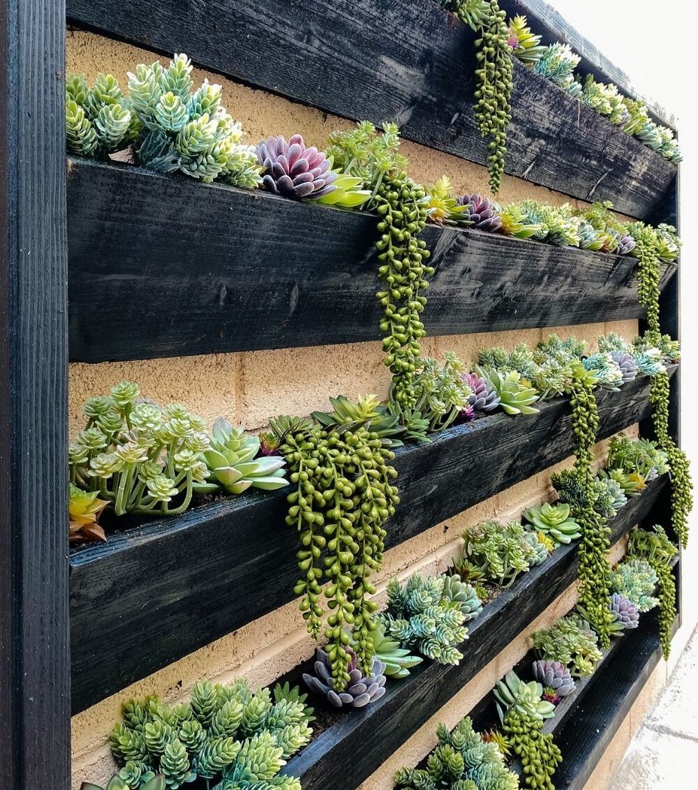 Transform Your Outdoor Space with a Stunning Vertical Garden Planting Wall