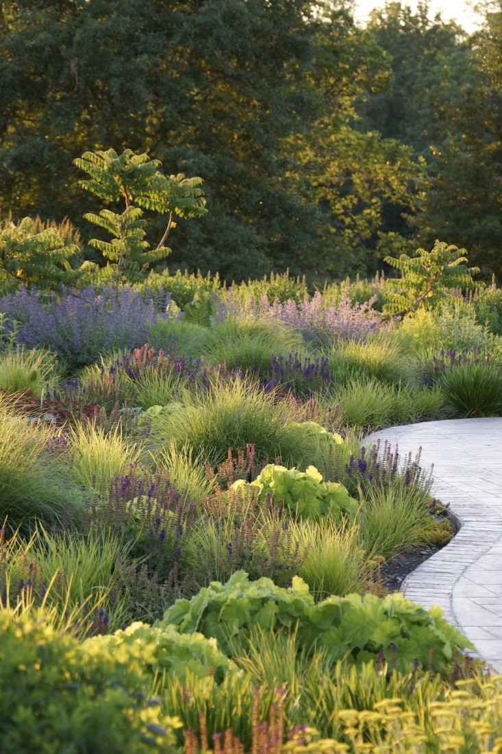 Transforming Outdoor Spaces: The Art of Landscape Design