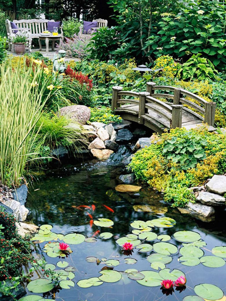 garden ponds