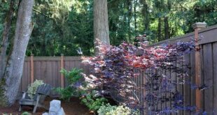landscaping ideas for backyard