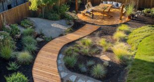 landscaping your backyard