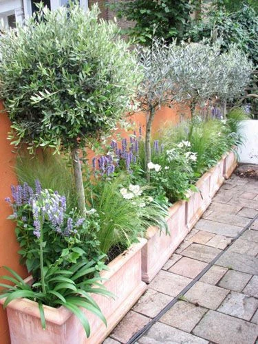 Transforming Your Compact Outdoor Space into a Lush Haven