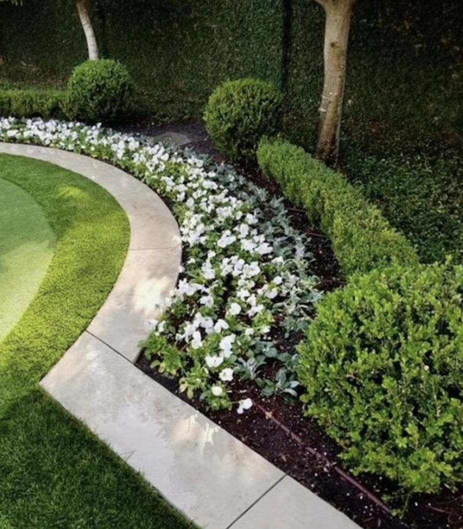 Transforming Your Front Yard with Beautiful Landscaping Plants