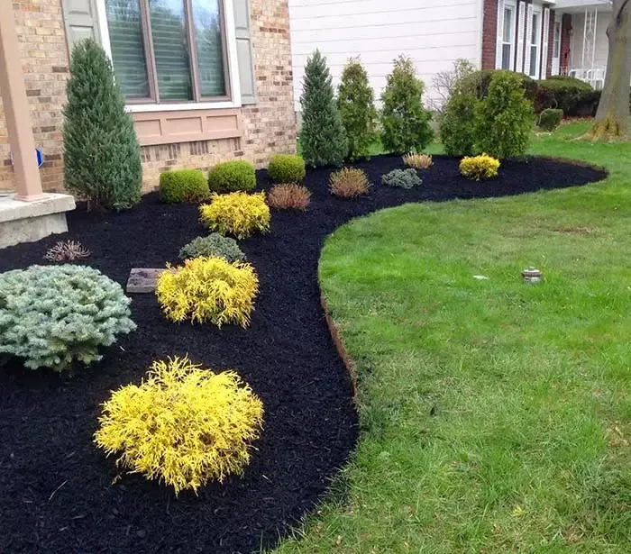 landscaping front yard