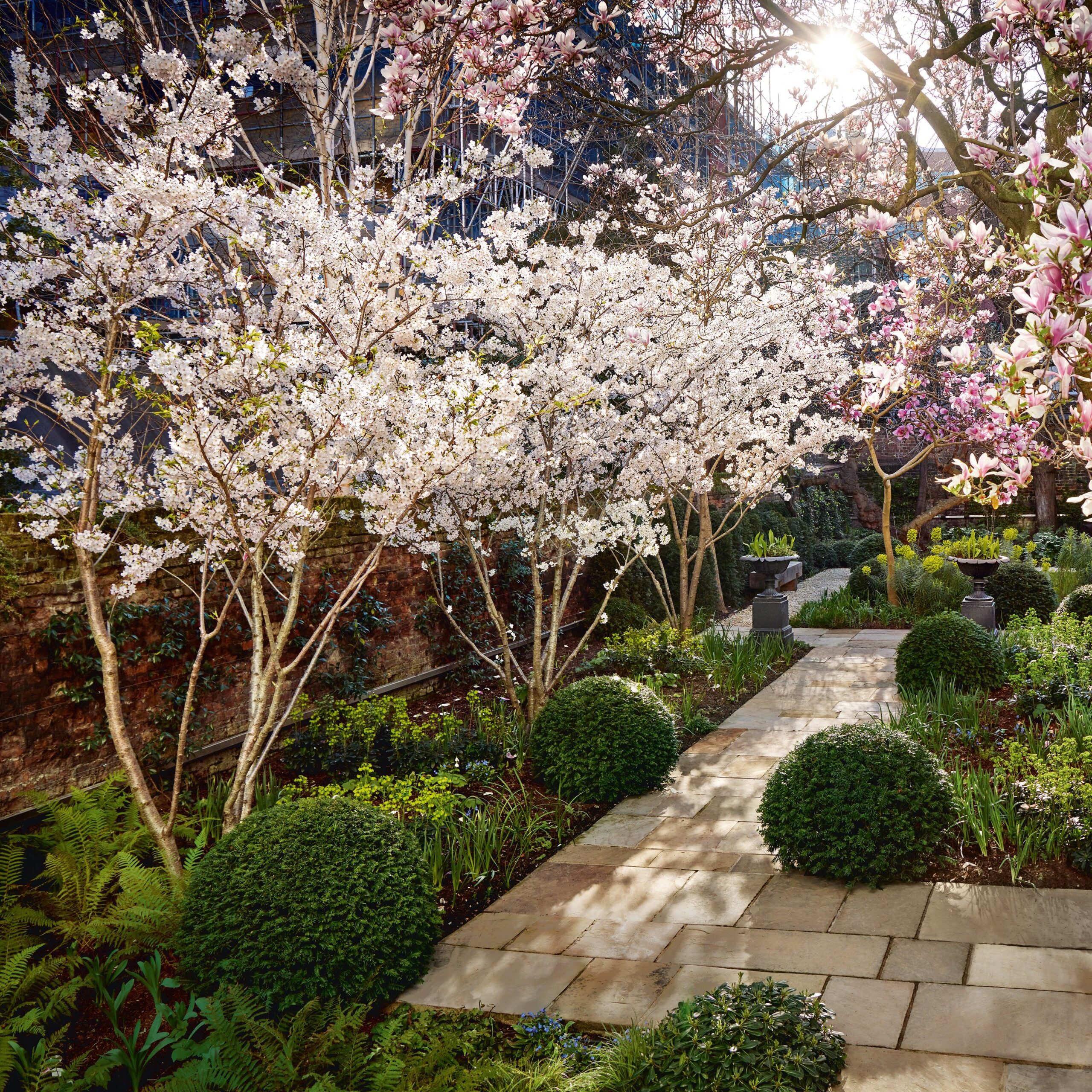 Transforming Your Home with Stunning Landscaping