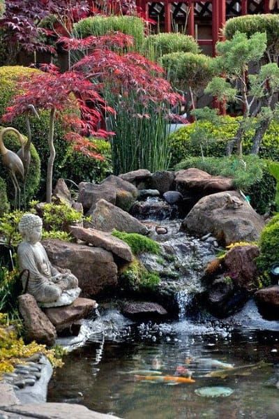 Transforming Your Outdoor Oasis: The Beauty of Backyard Ponds