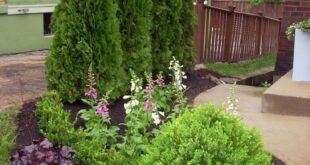 patio landscaping