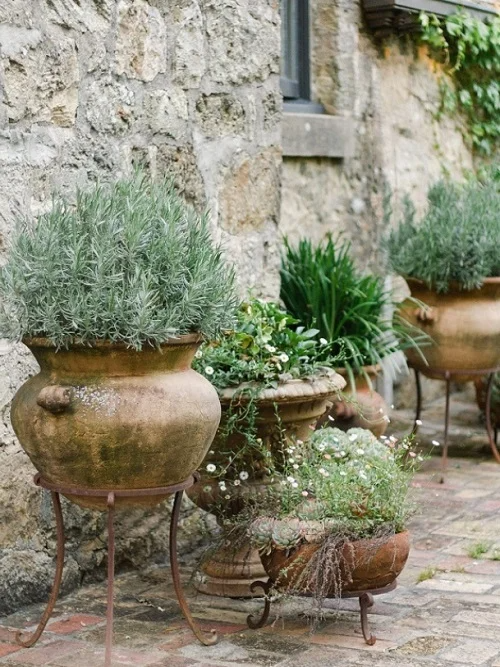 Transforming Your Outdoor Space with Charming Patio Gardens