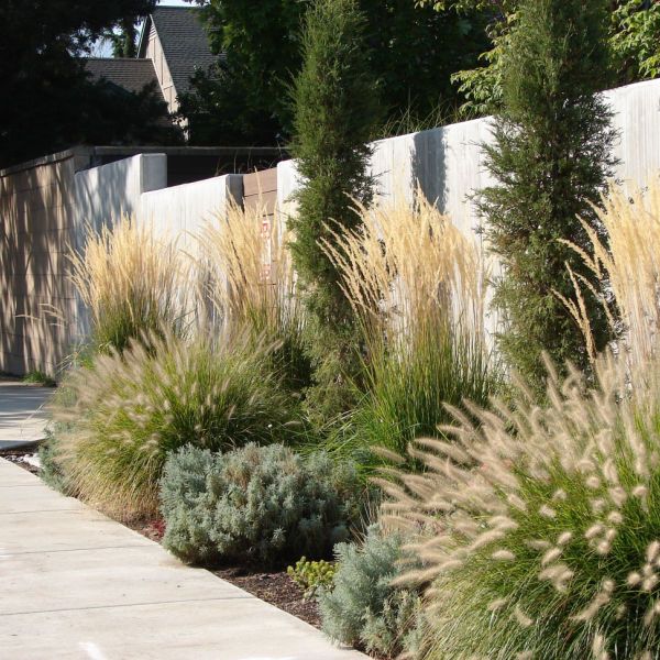 Transforming Your Outdoor Space with Stunning Landscaping