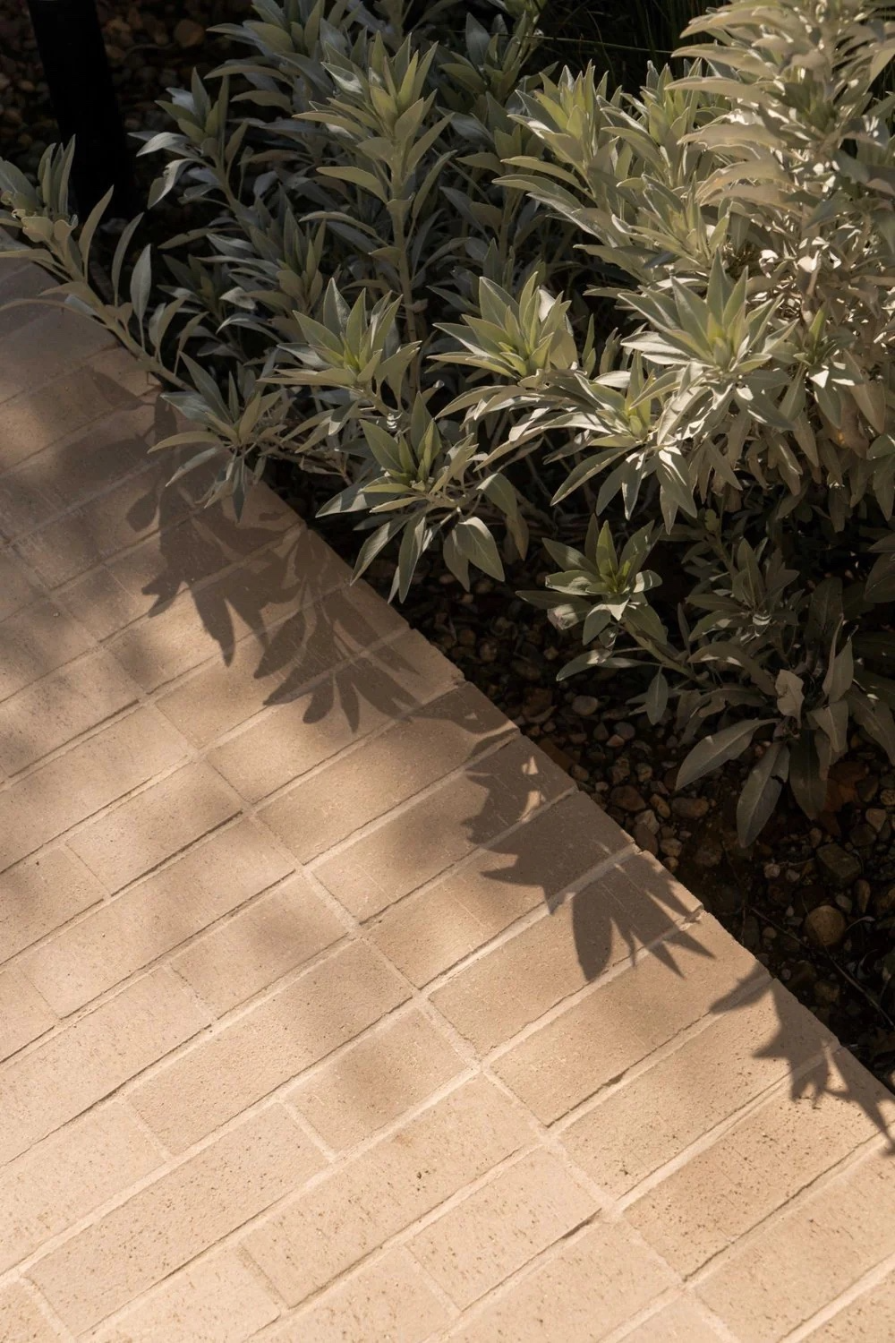 Transforming Your Outdoor Space with Stylish Pavers