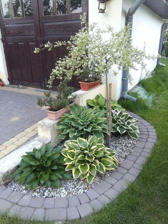 Transforming Your Property with Dynamic Landscaping