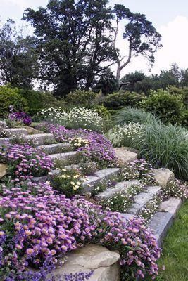 Transforming a Hilly Front Yard into a Stunning Landscape