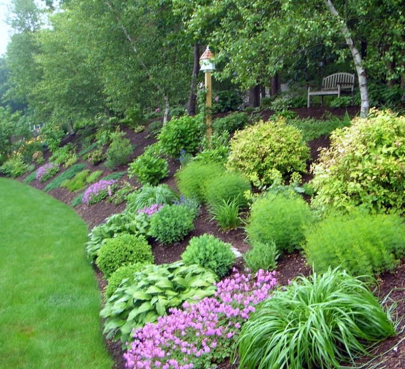 Transforming a Steep Front Yard with Stunning Landscaping