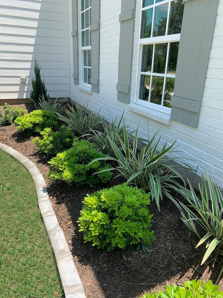 Transforming your Front Yard with Beautiful Landscaping Plants