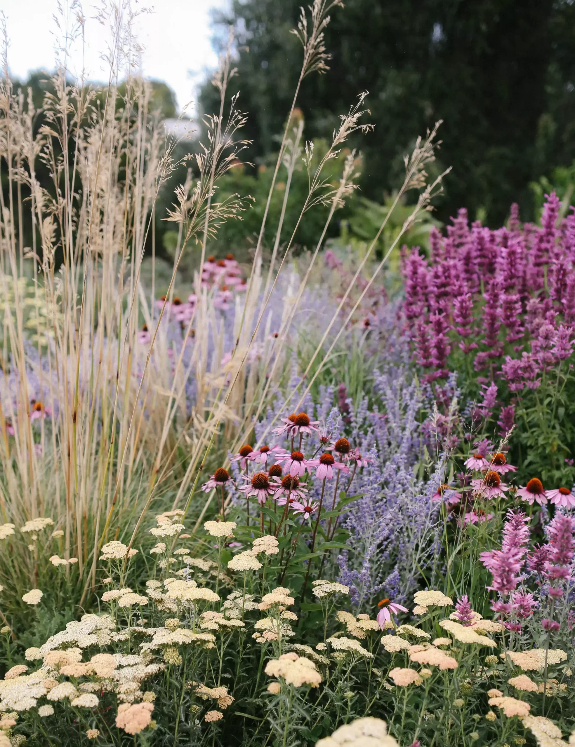 Unending Inspiration: Perennial Garden Designs for Year-Round Beauty