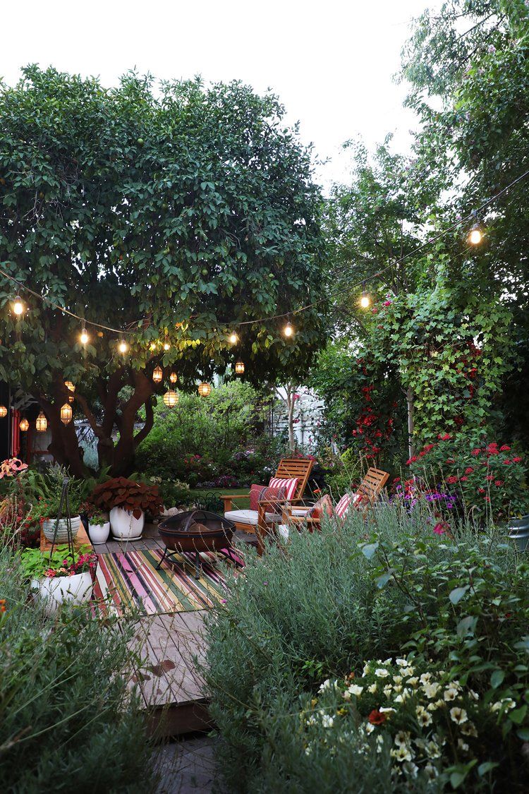 Unleashing Boundless Creativity in Garden Design