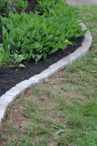 Unleashing the Potential of Your Outdoor Space with a Landscaping Edge