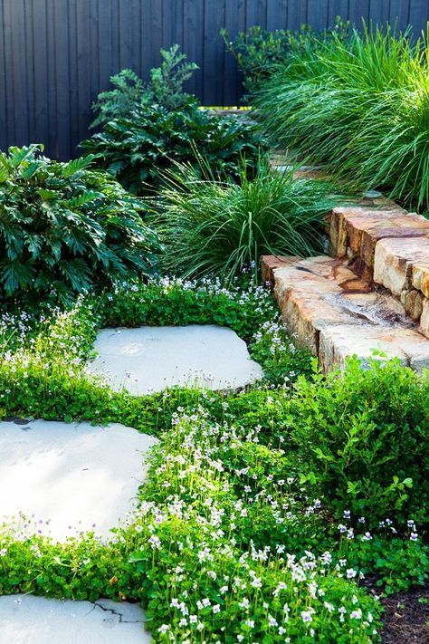 Unlimited Garden Design Inspiration: Let Nature Guide Your Creativity