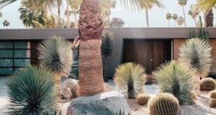 backyard xeriscape ideas