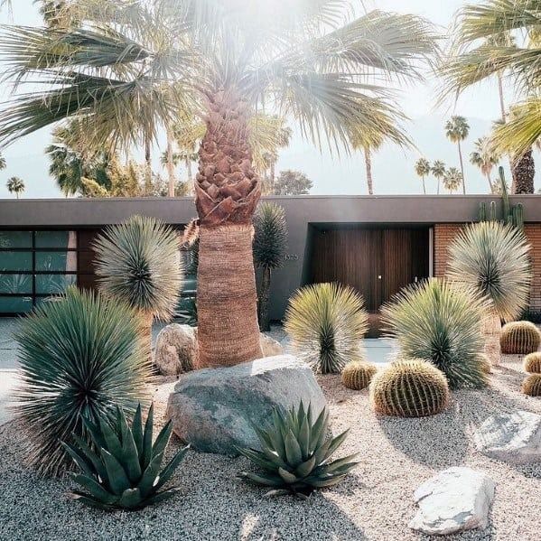 Unlocking the Beauty of Drought-Tolerant Landscaping: Creative Backyard Xeriscape Solutions