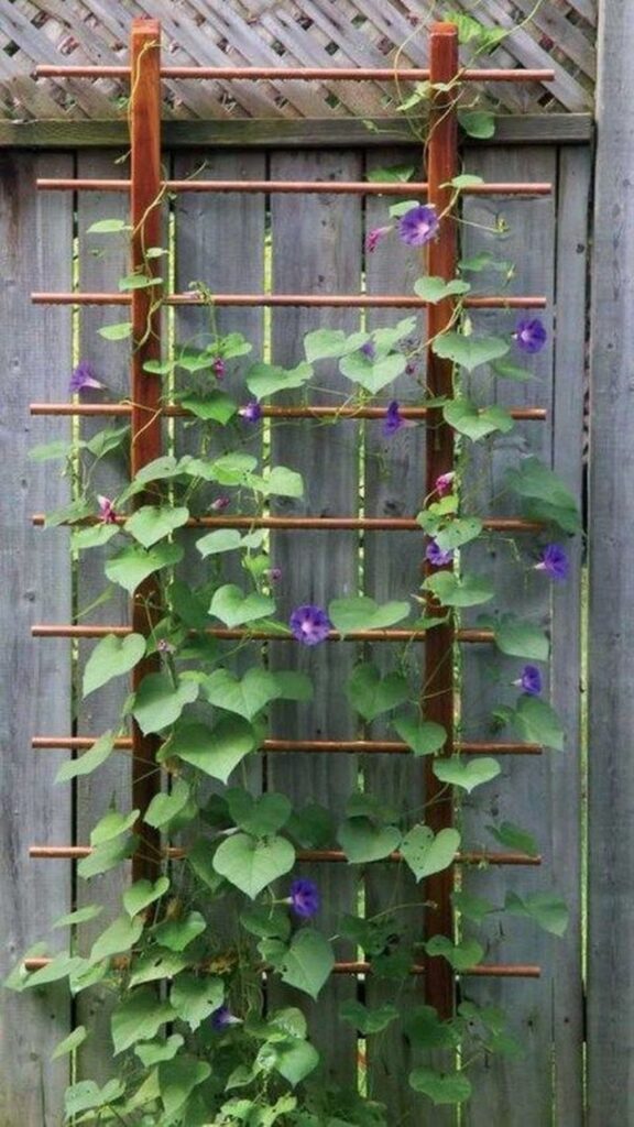 garden trellises