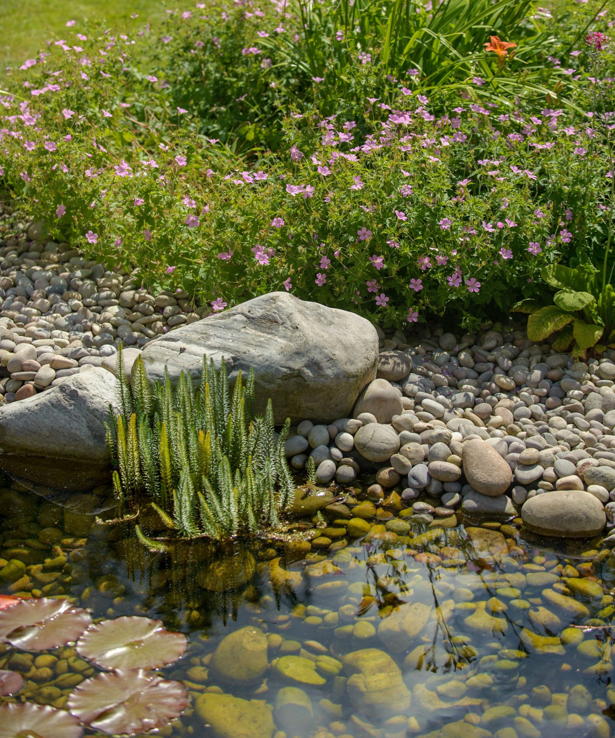 Unveiling the Beauty of Garden Ponds