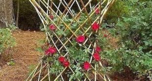 garden trellises